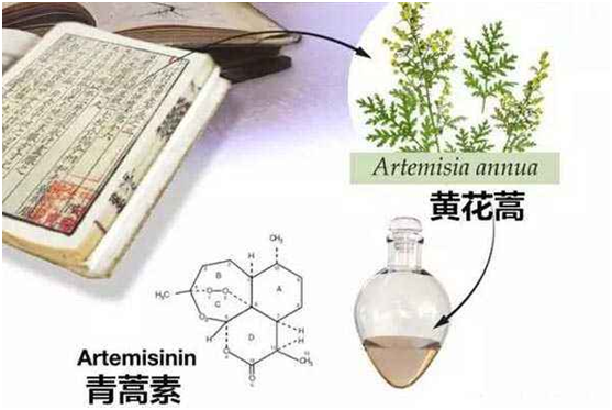 买球：向中医药看齐，与世界共享中医药文化(图1)